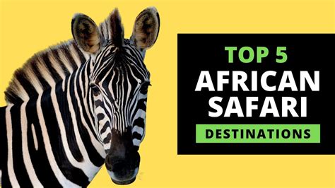 safari in africa prices
